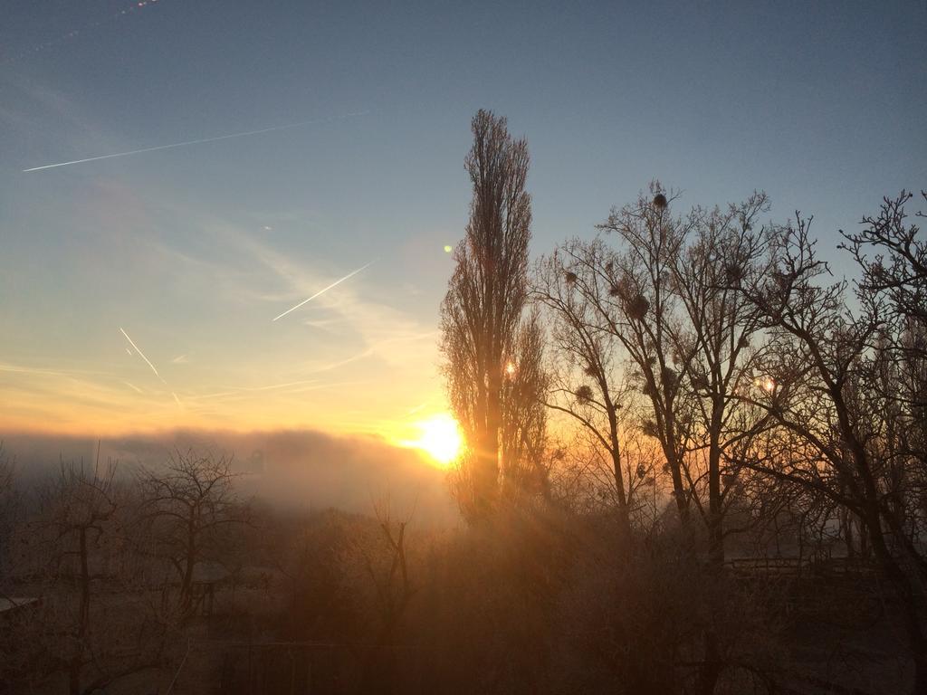 Bauernstube Scheidterhof Apartman Kobern-Gondorf Kültér fotó